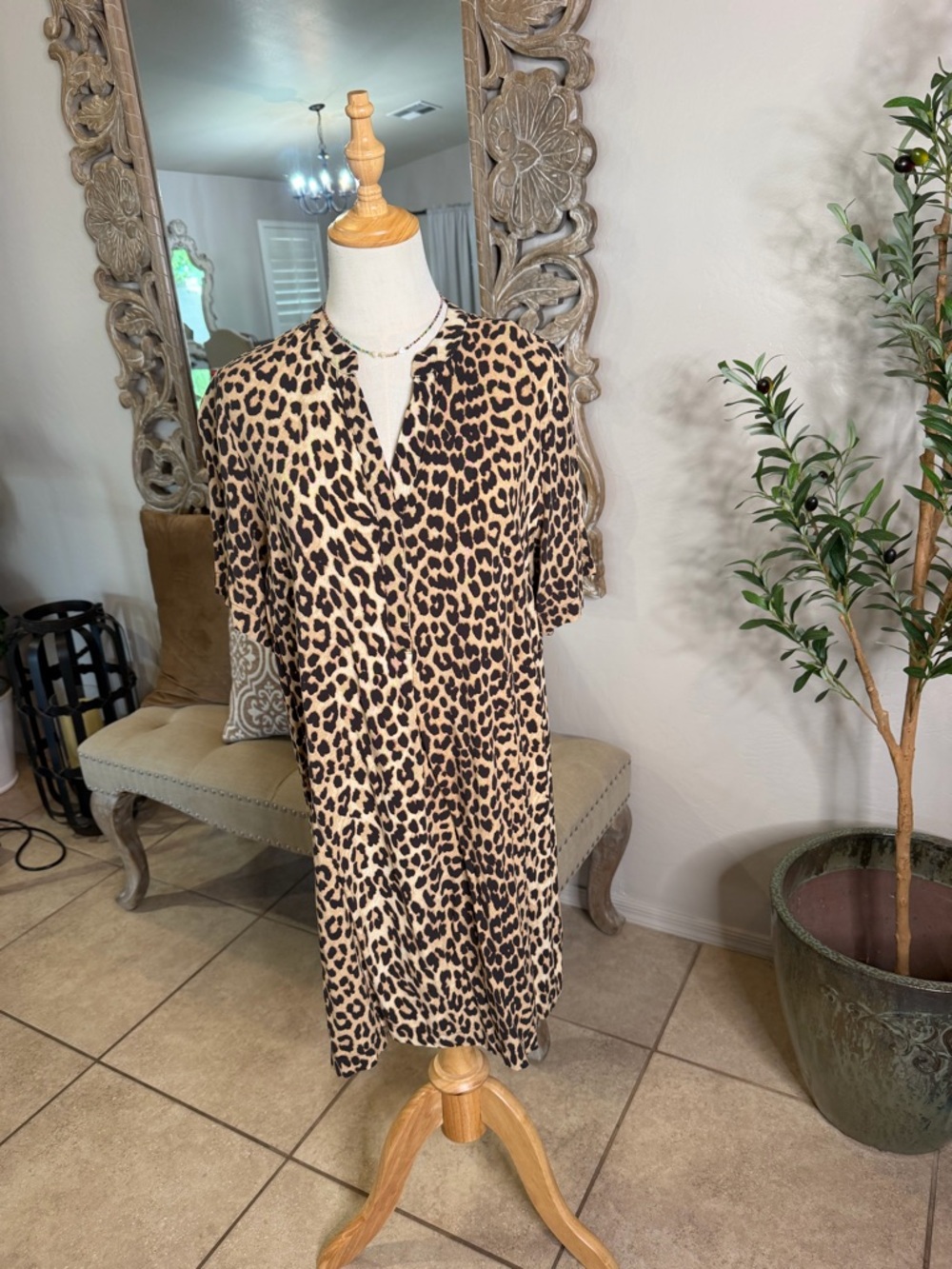 Women’s dress